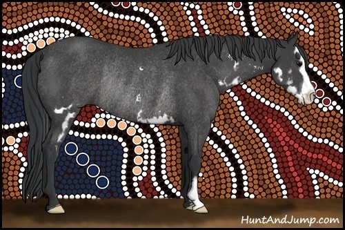 Horse Color:Black Sabino Splash Frame Rabicano