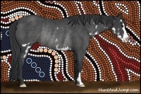 Horse Color:Black Sabino Splash Frame Rabicano