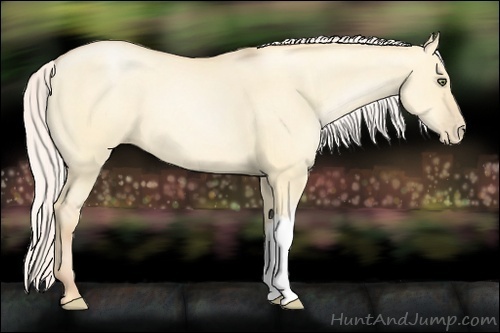 Horse Color:Silver Buckskin Pearl Dun 