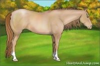 Horse Color:Chestnut Pearl