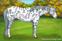 Horse Color:Watercolor Bay Splash Near Leopard