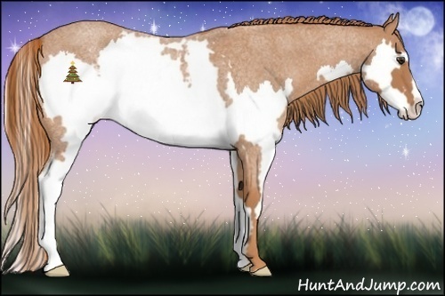 Horse Color:Red Roan Splash Frame 