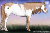 Horse Color:Red Roan Splash Frame 