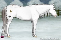 Horse Color:Liver Chestnut Sabino Splash