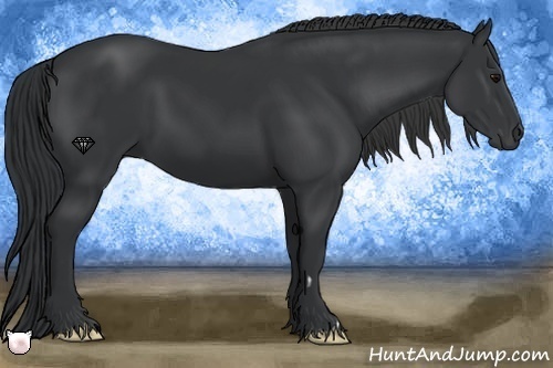 Horse Color:Black Frame 