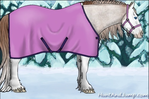 Horse Color:Red Roan Splash Rabicano 