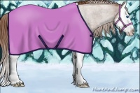 Horse Color:Red Roan Splash Rabicano