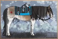 Horse Color:White Spotted Brown Dun