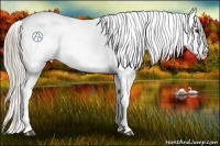 Horse Color:Palomino Snowcap 
