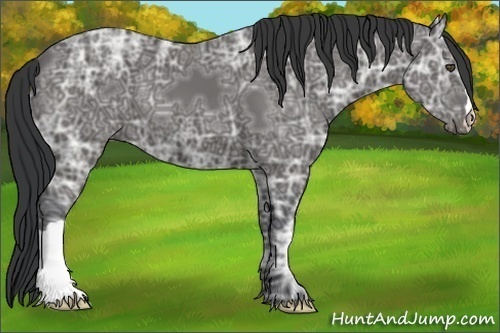 Horse Color:Black Ice 