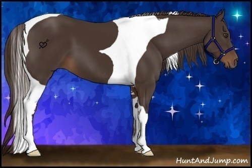 Horse Color:Liver Chestnut Sabino Tobiano
