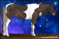 Horse Color:Liver Chestnut Sabino Tobiano 