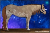 Horse Color:Chestnut Ice Sabino 