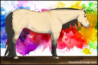 Horse Color:Buckskin Dun 