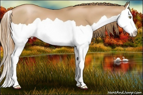 Horse Color:Chestnut Pearl Splash