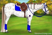 Horse Color:Sable Champagne Roan Near Leopard Rabicano 