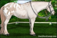 Horse Color:Smoky Black Pearl Blanket Rabicano 