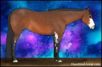 Horse Color:Bay Sabino Frame 