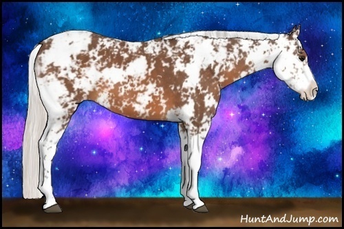 Horse Color:Silver Brown Sabino 