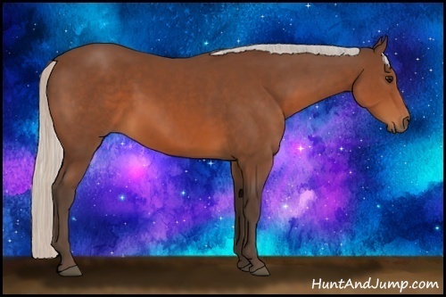 Horse Color:Silver Brown Sabino 