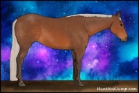 Horse Color:Silver Brown Sabino 
