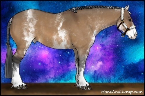Horse Color:White Spotted Bay Dun 