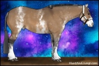 Horse Color:White Spotted Bay Dun