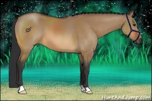Horse Color:Bay Dun