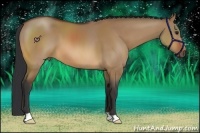 Horse Color:Bay Dun