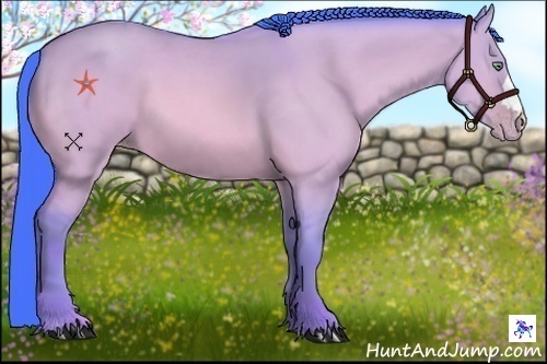 Horse Color:Watercolor Amber Cream Champagne Dun 