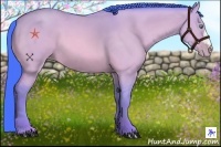 Horse Color:Watercolor Amber Cream Champagne Dun 