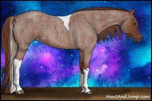 Horse Color:Red Roan Tobiano 