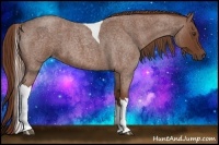 Horse Color:Red Roan Tobiano 
