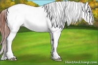 Horse Color:Bay Roan Dun Tobiano Blanket