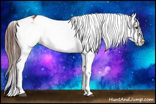Horse Color:Bay Tobiano Varnish 
