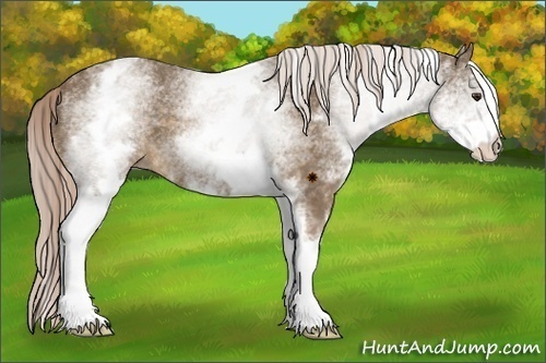Horse Color:White Spotted Chocolate Palomino