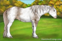 Horse Color:White Spotted Chocolate Palomino