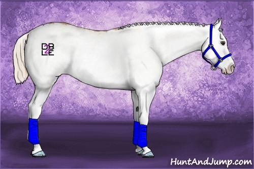 Horse Color:White Spotted Palomino Splash 