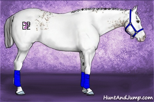 Horse Color:White Spotted Buckskin Ice 