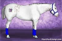 Horse Color:White Spotted Buckskin Ice 