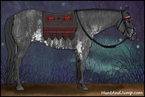 Horse Color:White Spotted Blue Roan Rabicano  Brindle