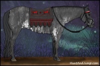 Horse Color:White Spotted Blue Roan Rabicano  Brindle