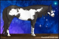 Horse Color:Liver Chestnut Frame 