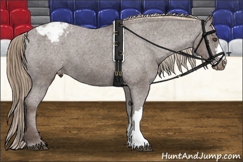 Horse Color:Liver Chestnut Varnish 