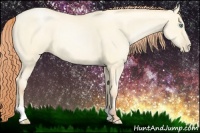 Horse Color:Amber Cream Champagne Pearl Dun Frame 