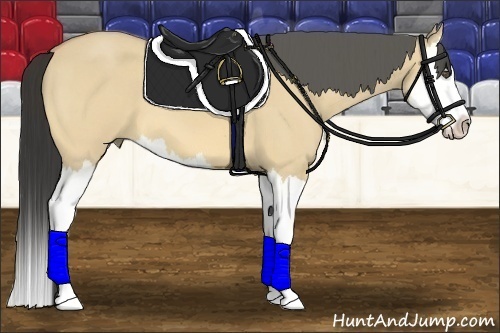 Horse Color:Buckskin Roan Dun Splash