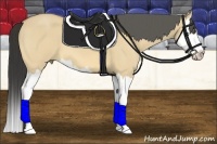 Horse Color:Buckskin Roan Dun Splash
