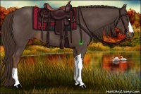 Horse Color:Liver Red Roan 