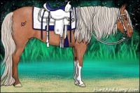 Horse Color:Silver Bay Roan