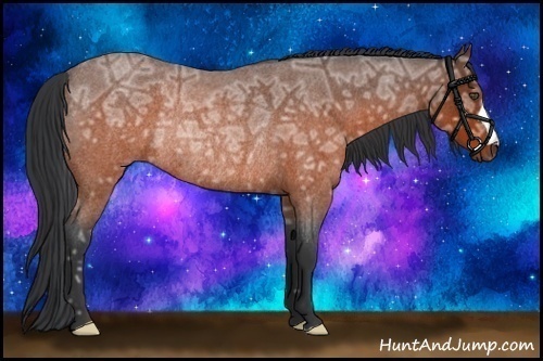 Horse Color:Brown Ice Roan Rabicano 